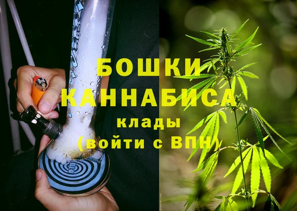 трава Кодинск