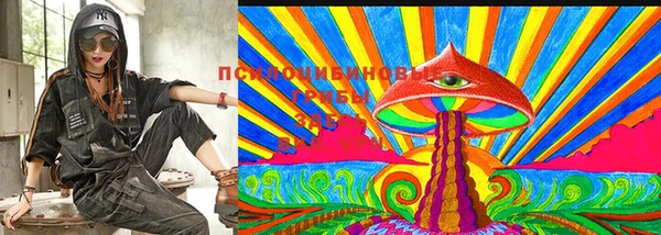 твердый Козловка
