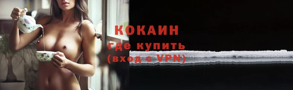 твердый Козловка