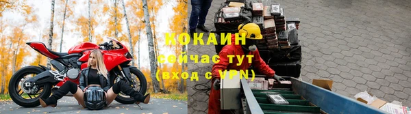 твердый Козловка