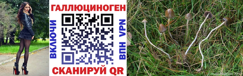 Купить закладки  Алапаевск  Галлюциногенные грибы Psilocybine cubensis 